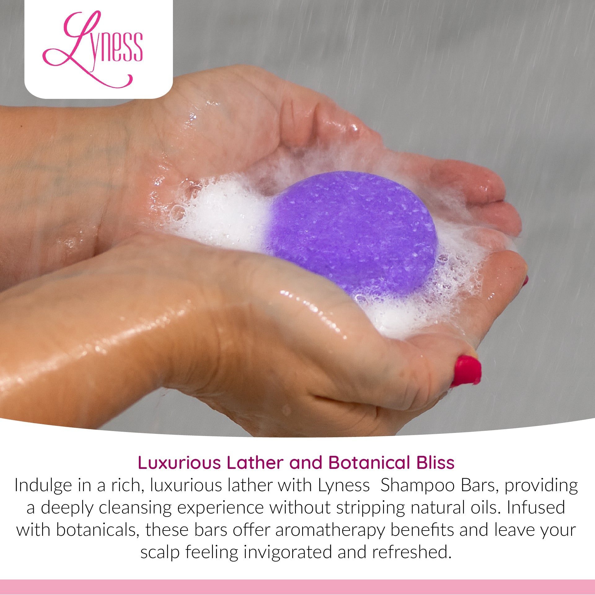 Blueberry Shampoo Bars x 2 | Organic, Eco - friendly, Plastic - free - Lyness Beauty Products