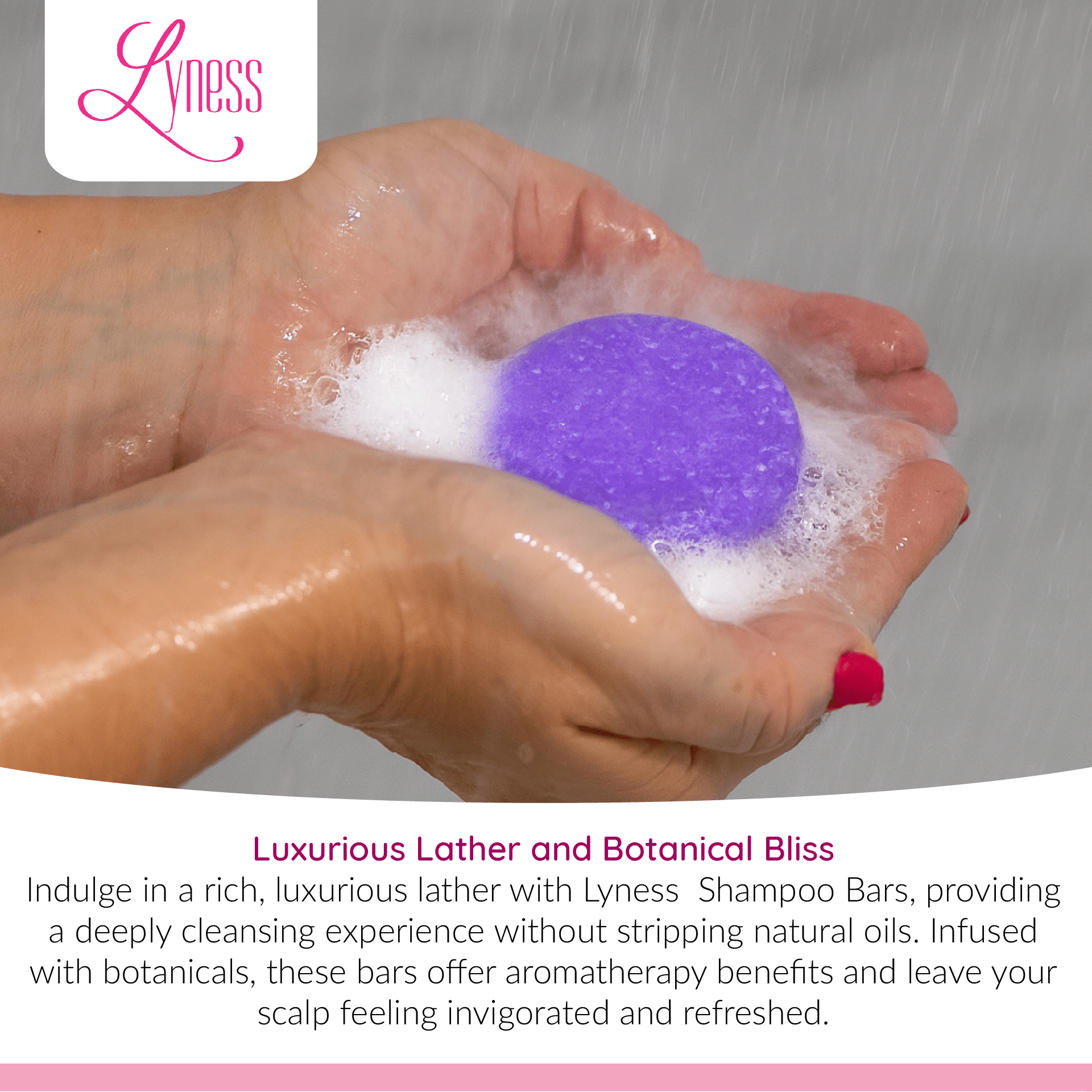 Blueberry Shampoo & Conditioner Bar Set | Organic, Eco - friendly, Plastic - free - Lyness Beauty Products