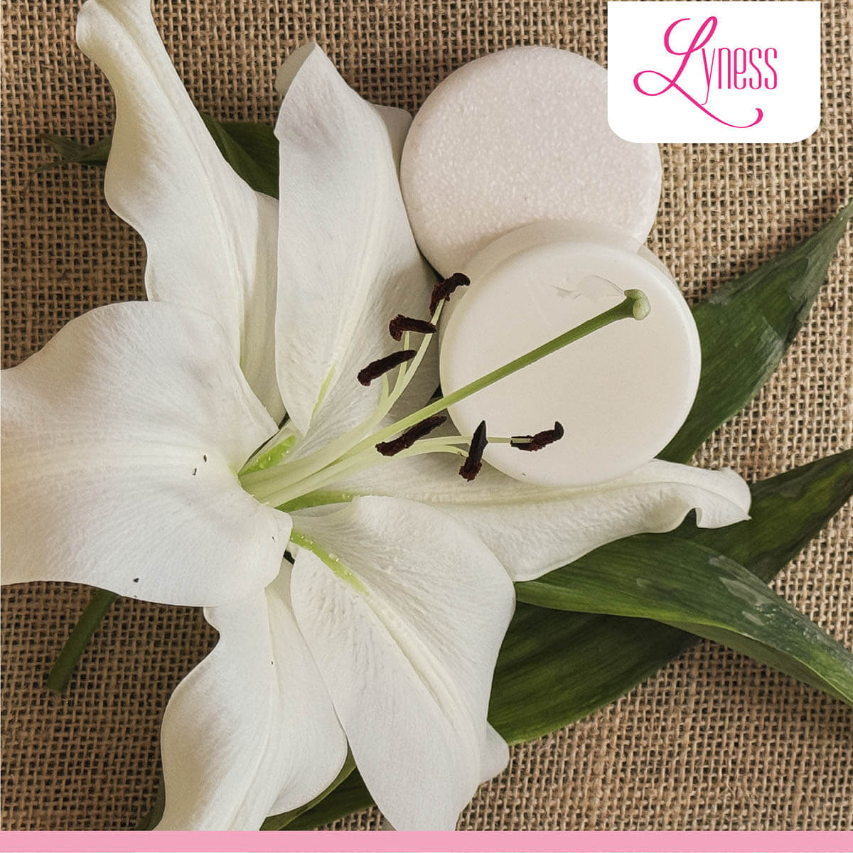 Coco Vanilla Shampoo Bar | Organic, Eco - friendly, Plastic - free - Lyness Beauty Products