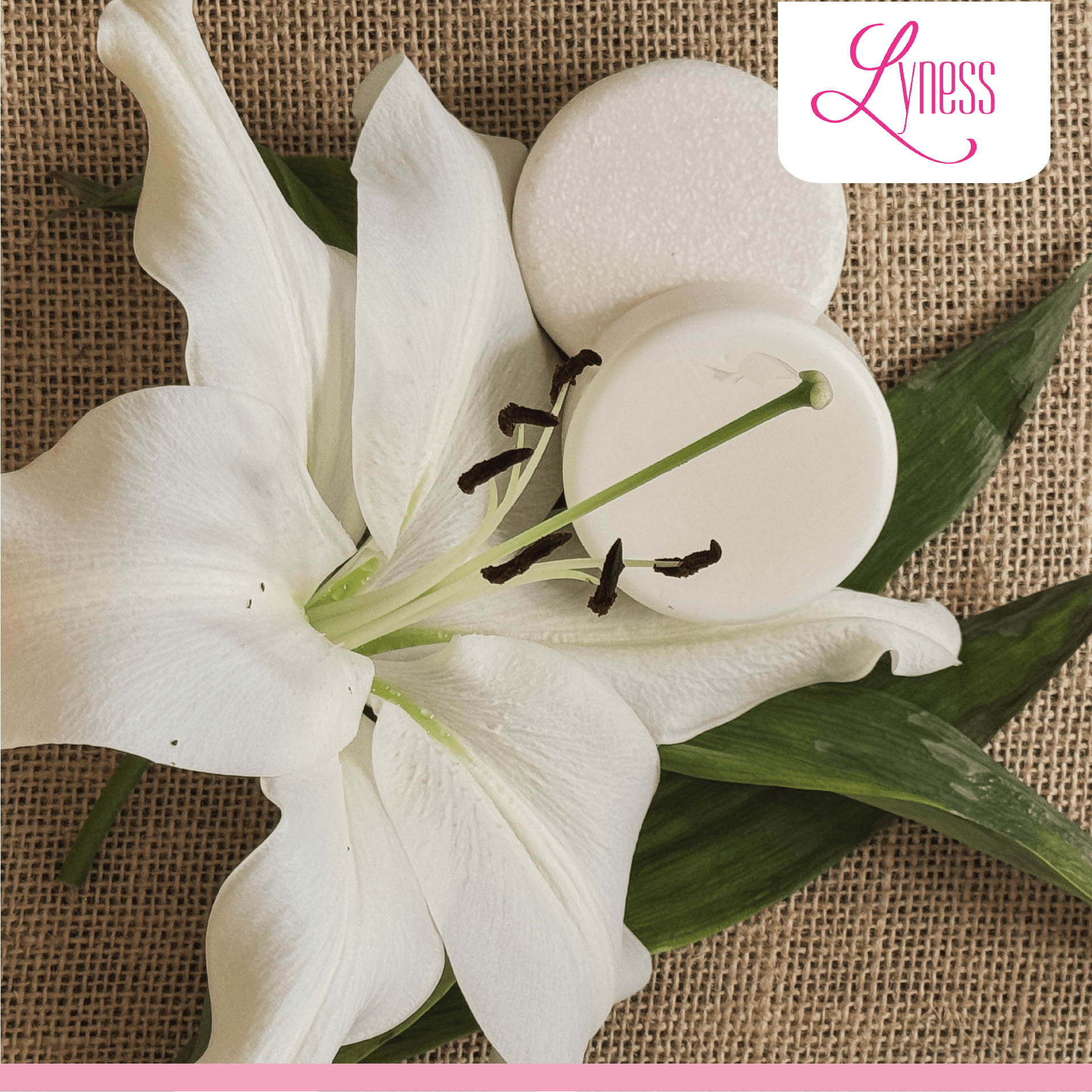 Coconut Vanilla Shampoo & Conditioner Bar Set | Organic, Eco - friendly, Plastic - free - Lyness Beauty Products