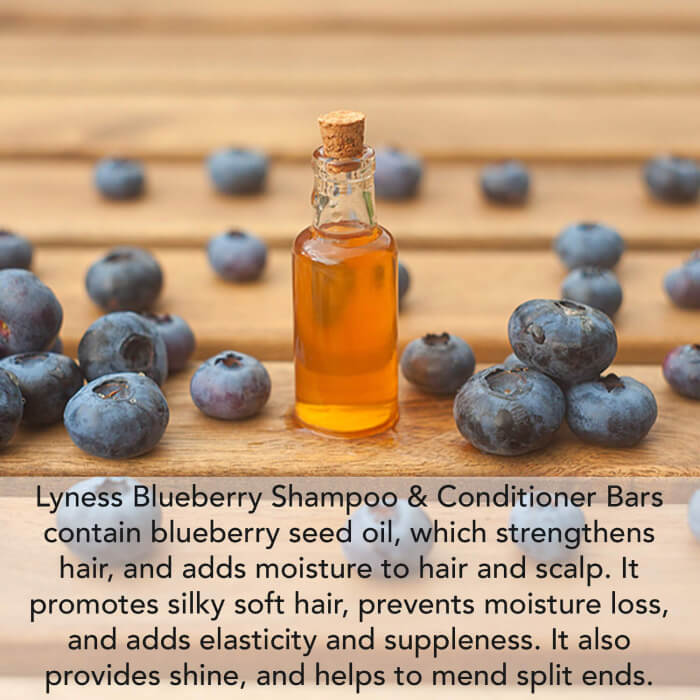 Blueberry Shampoo Bar | Organic & Natural | Eco-friendly, Plastic-free - Lyness Beauty Products