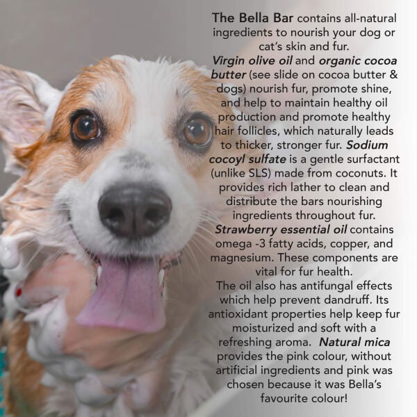Strawberry Bella Bar | Pet Shampoo Bar for Cats and Dogs | All-Natural | Odor-Fighting | Luscious Lather | Strawberry Scent | Reusable Container - Lyness Beauty Products