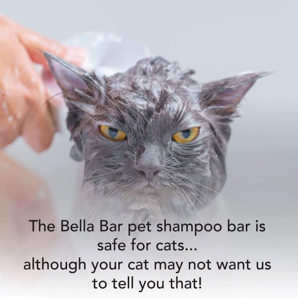 Strawberry Bella Bar | Pet Shampoo Bar for Cats and Dogs | All-Natural | Odor-Fighting | Luscious Lather | Strawberry Scent | Reusable Container - Lyness Beauty Products