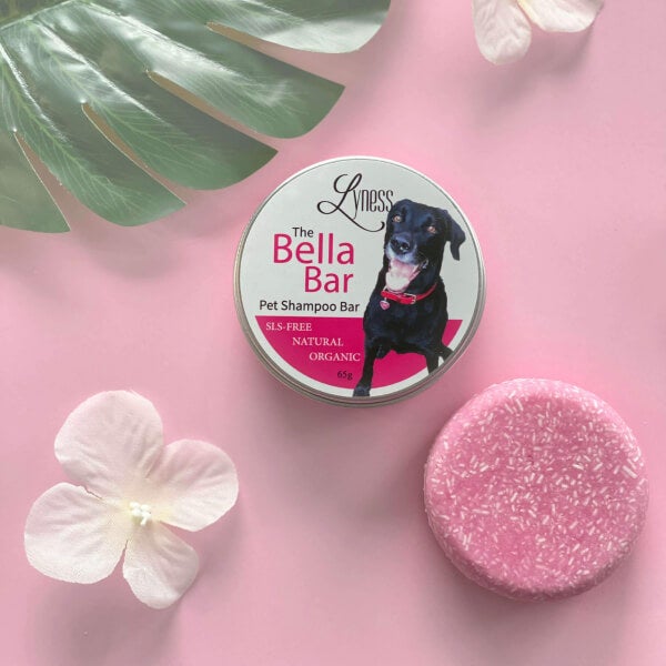 Strawberry Bella Bar | Pet Shampoo Bar for Cats and Dogs | All-Natural | Odor-Fighting | Luscious Lather | Strawberry Scent | Reusable Container - Lyness Beauty Products