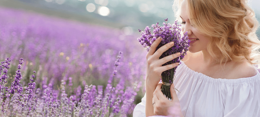 The Top Herbs for Hair Growth - Lyness Beauty Products