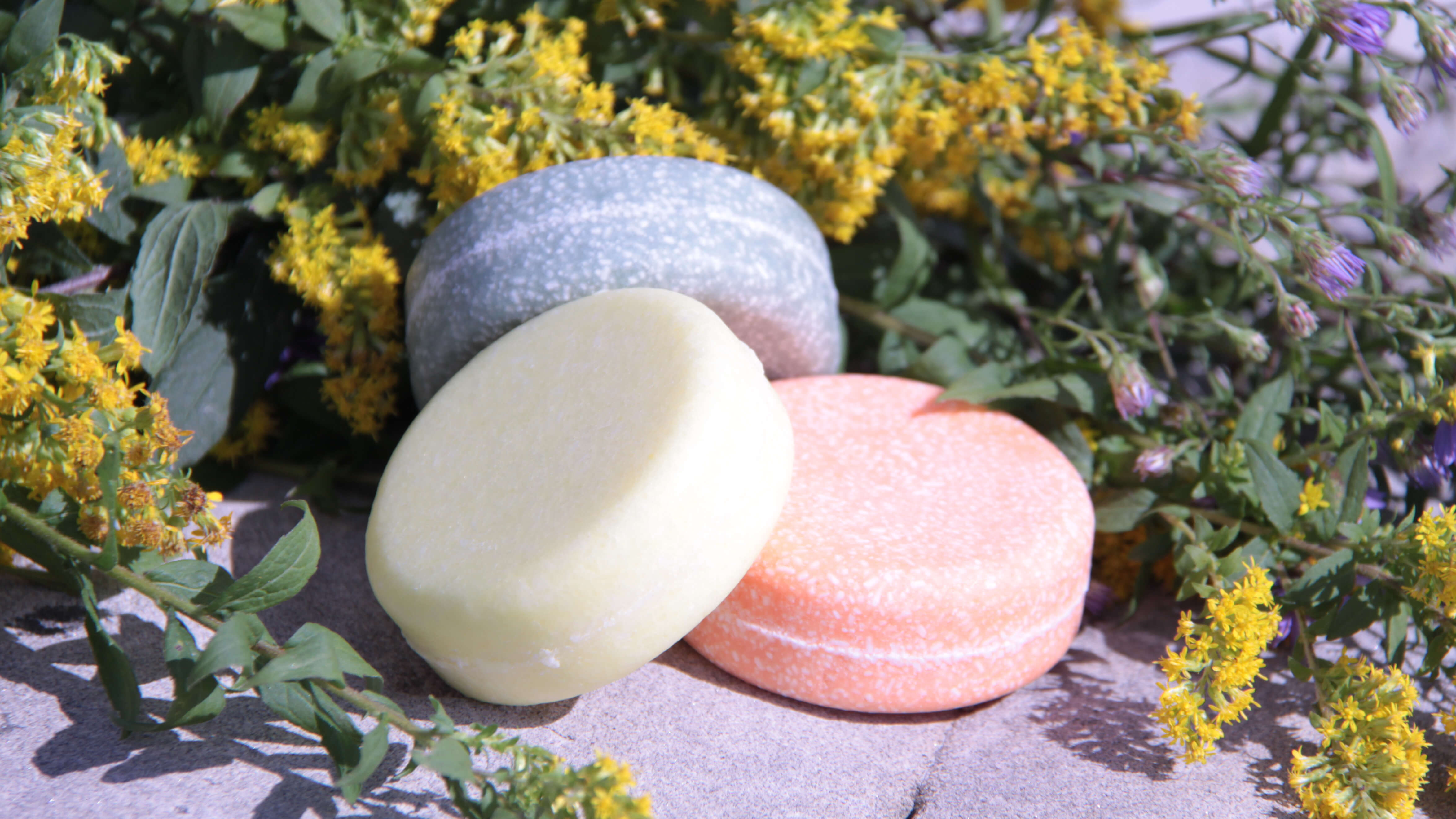 Shampoo Bars | Lyness Beauty Products