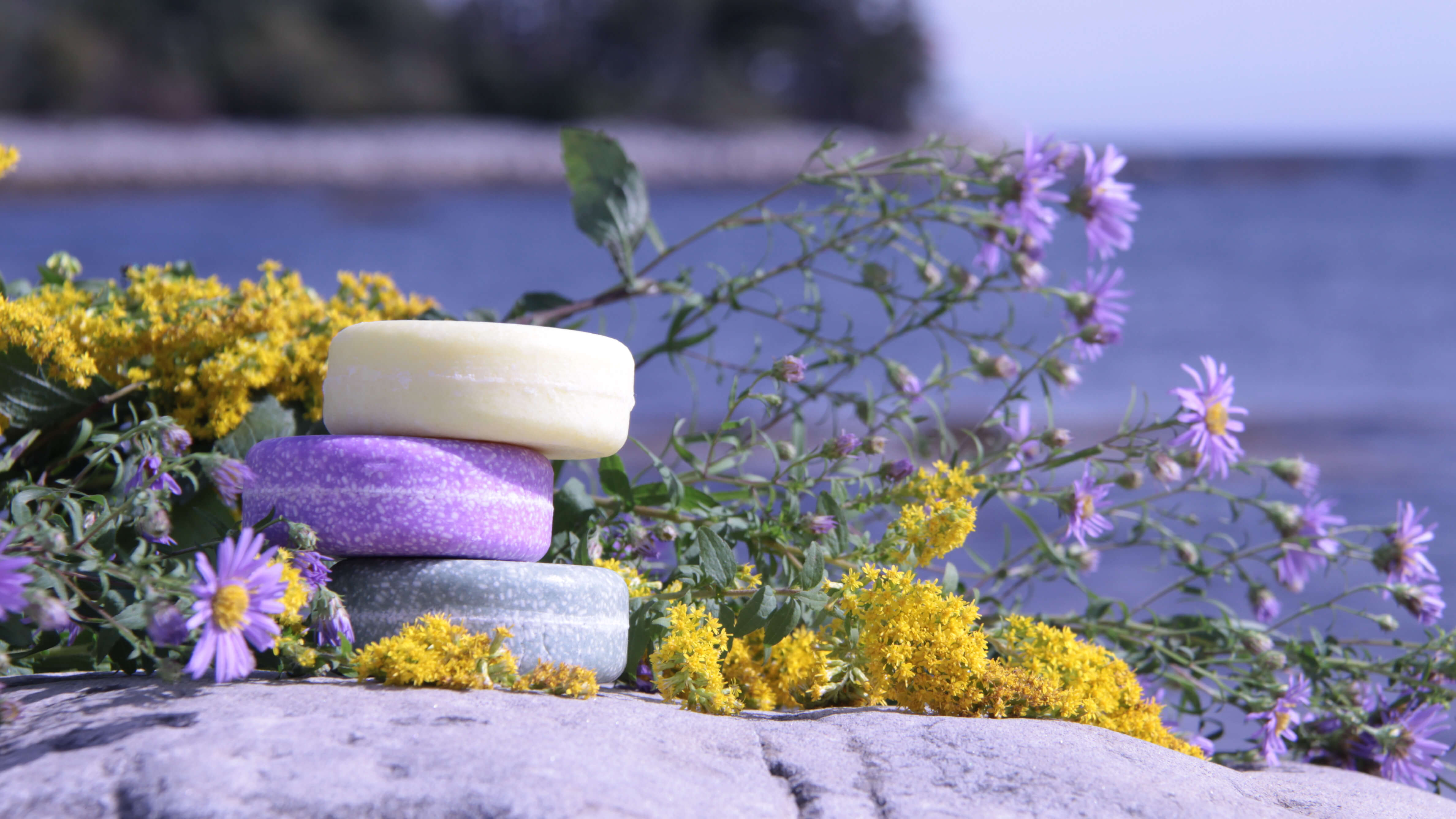 Shop All Products - Lyness Beauty Products