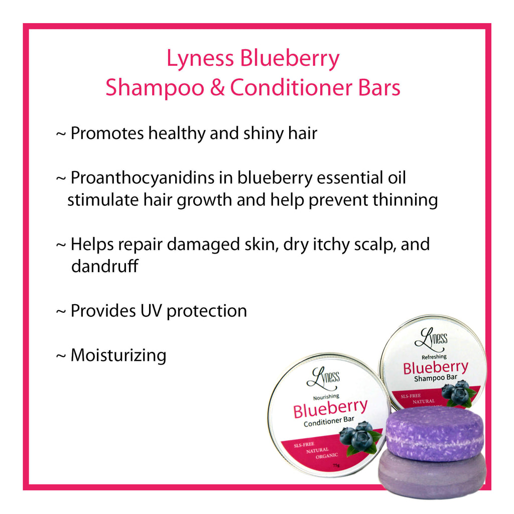 Blueberry Shampoo Bar x 3 | Organic & Natural | Eco-friendly, Plastic-free - Lyness Beauty Products