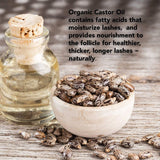 Castor Oil For Lashes - 100% Natural Eyelash & Eyebrow Growth Oil - Lyness Beauty Products