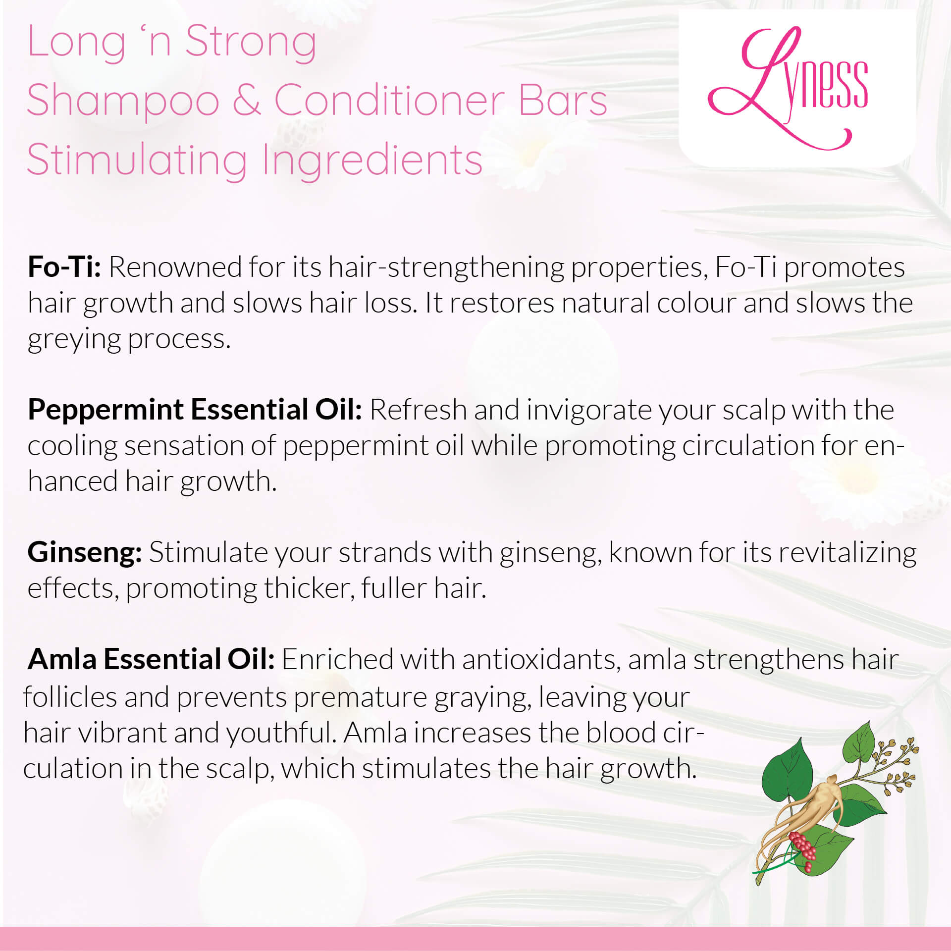 Long 'n Strong Shampoo | 2 Bar Set | For Growth & Natural Colour Retention |Organic | Eco-friendly, Plastic-free - Lyness Beauty Products