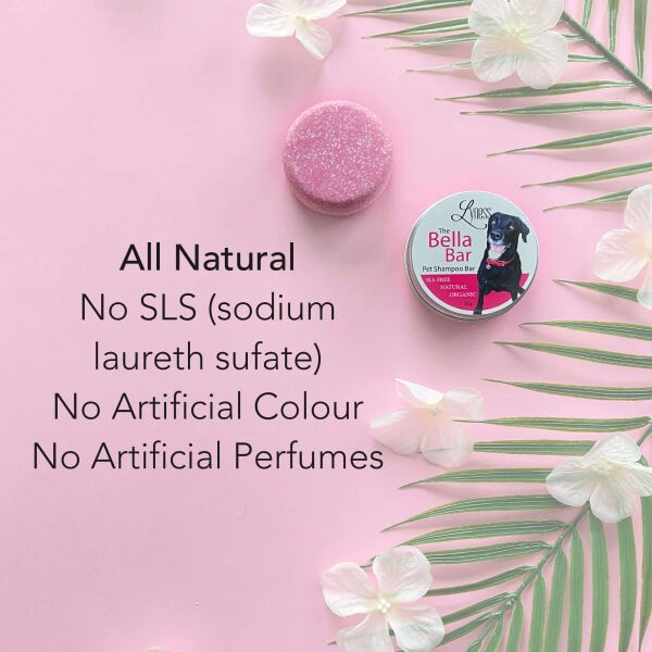 Strawberry Bella Bar | Pet Shampoo Bar for Cats and Dogs | All-Natural | Odor-Fighting | Luscious Lather | Strawberry Scent | Reusable Container - Lyness Beauty Products
