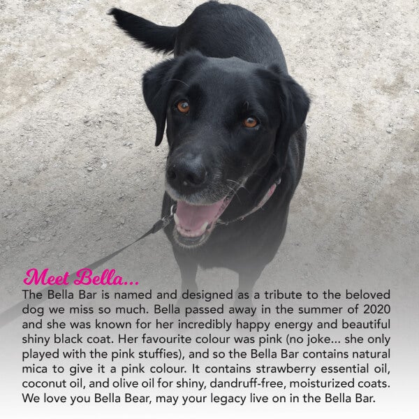 Graphic introducing Bella, our very missed black labrador and the inspiration behind the "Bella Bar" 